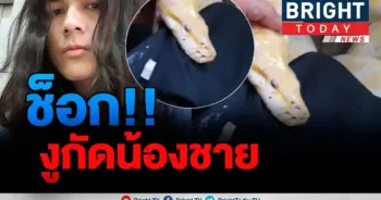 ชาลี สุดเซ็ง